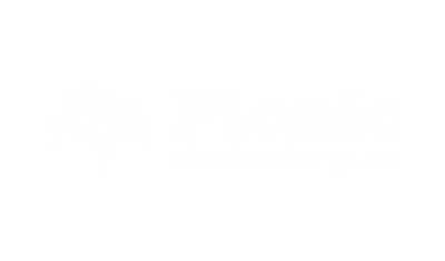 picnic_skateshop